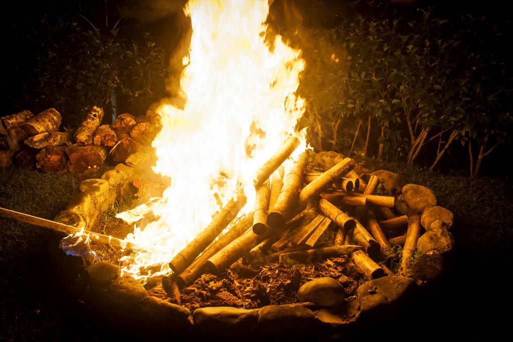 Manuel Antonio Hostel Resort Ngoại thất bức ảnh