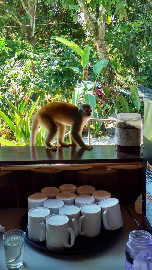 Manuel Antonio Hostel Resort Ngoại thất bức ảnh